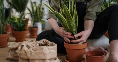 10 Essential Front End Tools You Need