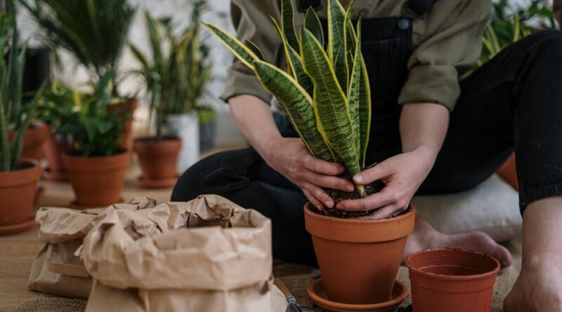 10 Essential Front End Tools You Need